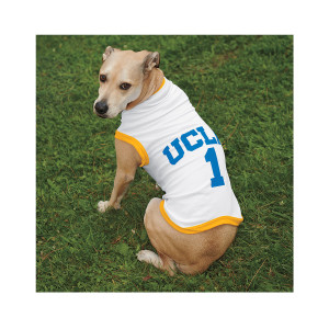 UCLA Pet Basketball Jersey